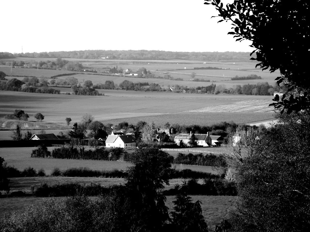 Paysage de bocage normand avec un hameau au milieu des haies et des prés